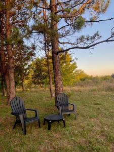 dos sillas y un taburete junto a un árbol en Los Sauces hospedaje rural en Capilla del Señor