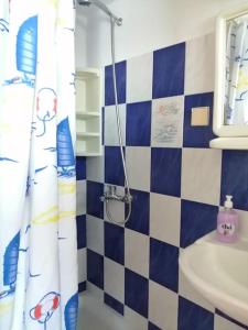 a bathroom with a blue and white checkered shower curtain at RODON PIGANOUSA STUDIO in Spilia Leros in Panteli