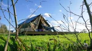 a tent sitting in a field of grass at Camping à la ferme - Hébergements insolites in Cerisy-la-Forêt