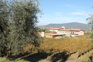 - une vue sur un vignoble avec une maison et un arbre dans l'établissement Appartamento Franciacorta, à Cazzago San Martino