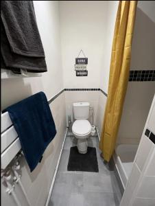uma casa de banho com um WC e uma toalha azul em Apt Bohème, Parking Privé, Centre em Cambrai