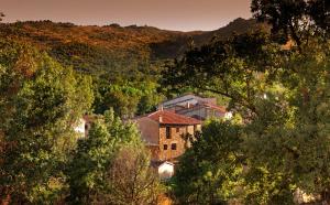 dom w środku lasu drzew w obiekcie Casa Rural El Caldero Sierra de Béjar w mieście Sorihuela