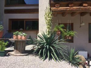 Zahrada ubytování Agriturismo Fattoria Togonegro