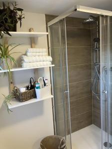 baño con cabina de ducha con puerta de cristal en Metter, en Bietigheim-Bissingen