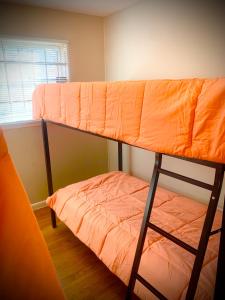 a bedroom with two bunk beds and a window at ShutEye Hostel in Houston