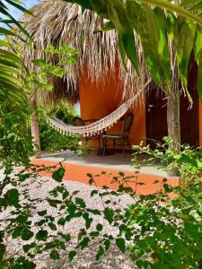 a hammock in front of a house at De Octopus in Dorp Sint Michiel