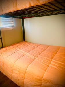 an orange bed in a room with a bunk bed at ShutEye Hostel in Houston