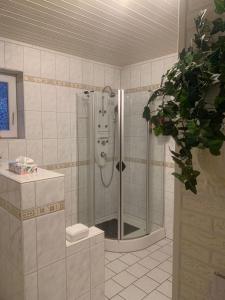 een badkamer met een douche met een gezicht op de muur bij Fewo Zerbe Adendorf in Adendorf