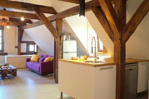 a kitchen and living room in a loft at Ferienwohnungen Ostengasse 22 in Regensburg