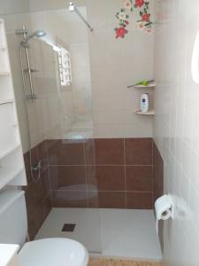 a bathroom with a shower and a toilet at El nispero in Peniscola