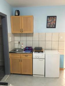 Kuchyň nebo kuchyňský kout v ubytování Sobe Krin - Smestaj Canj