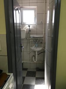 Koupelna v ubytování Sobe Krin - Smestaj Canj