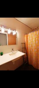 a bathroom with a sink and a mirror and a shower curtain at Maison de vacances créole à Rivière Salée in Rivière-Salée