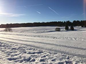 ein schneebedecktes Feld mit Bäumen in der Ferne in der Unterkunft Privatvermietung Ina in Buntenbock