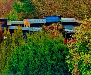 Φωτογραφία από το άλμπουμ του Tiny Waldheim σε Billerbeck