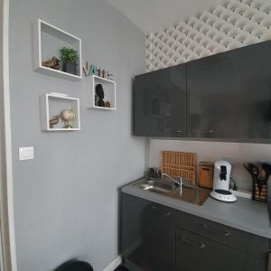 een keuken met een spoelbak en een aanrechtblad bij Villa Etiennette 1 in Le Crotoy +4 foto's