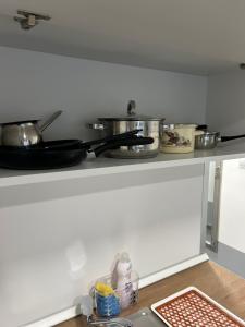 Kuchyňa alebo kuchynka v ubytovaní Apartmani "Stari Grad - Samobor"