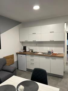 Kuchyňa alebo kuchynka v ubytovaní Apartmani "Stari Grad - Samobor"