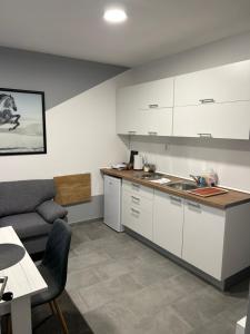 Kuchyňa alebo kuchynka v ubytovaní Apartmani "Stari Grad - Samobor"