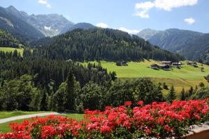 Příroda nedaleko apartmánu + 8 fotografií