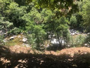 a forest filled with lots of trees and rocks at Chambre avec balcon à louer in Bains de Guitera