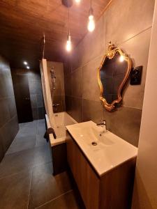 ein Bad mit einem Waschbecken, einer Dusche und einem Spiegel in der Unterkunft Chez Claude appartement cozy climatisé pour 4 personnes tout confort in Ath
