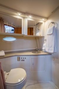 a bathroom with a toilet and a sink and a mirror at Sea Pearl Boston Yacht in Boston