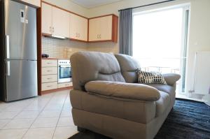 Cozy & Relaxing Apartments-Agia Paraskevi في أثينا: غرفة معيشة مع أريكة وثلاجة