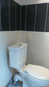 a white toilet in a bathroom with black and white tiles at Gîte des pêcheurs in Cantenay-Épinard