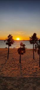 a group of palm trees on a beach at sunset at DEPARTAMENTO COSTANERA in Corrientes