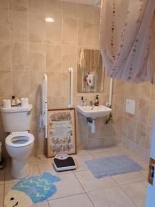 uma casa de banho com um WC e um lavatório em King Size Bed, Private Parking, Centrally Located em Kilkenny