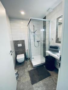 a bathroom with a shower and a toilet and a sink at Dümmer Perle Apartments in Hüde