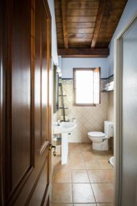 ein Bad mit einem Waschbecken und einem WC in der Unterkunft Apartamentos El Sualleiro in Santa Eulalia de Oscos