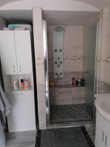 baño con ducha y puerta de cristal en Ubytování Dobešov, en Černovice