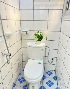 a bathroom with a toilet with a plant on top of it at Chambre Moderne (Kotto) in Douala