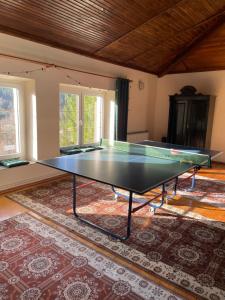 a ping pong table in a room with a rug at Willa Toskania in Lądek-Zdrój