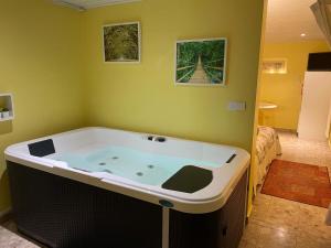 une baignoire jacuzzi dans une pièce aux murs verts dans l'établissement Annette's Home, à Mazingarbe