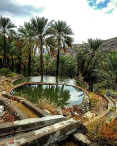uma piscina de água num jardim com palmeiras em Balad Sayt Heritage Inn em Bilād Sayt