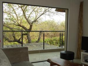 a living room with a large window with a view of a tree at BushGlam Luxury Holiday Home in Hoedspruit