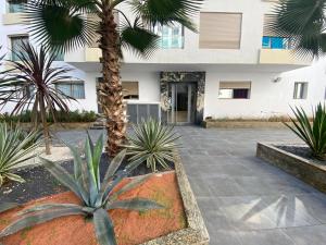 a courtyard with palm trees in front of a building at CORNICHE CASABLANCA - VINTAGE F2 NEUF in Casablanca +4 photos