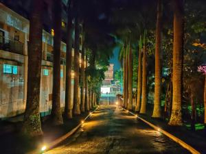 Greenwoods Resort, Thekkady في تيكادي: شارع تصطف فيه أشجار النخيل في الليل