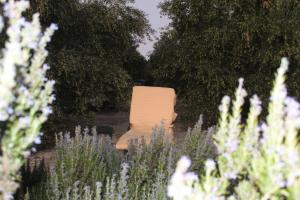 A garden outside Spiti tou Papa sto Vouno
