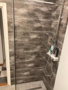 une salle de bain avec une douche avec une porte vitrée dans l'établissement Bianka Apartment, à Zagreb 15 autres photos
