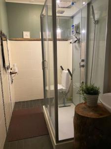 a bathroom with a shower and a toilet and a sink at Vanha Ravintola Ölvin Suolatorilla - Vanhan Kanttorilan yhteydessä in Loviisa