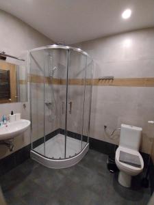 La salle de bains est pourvue d'une douche, de toilettes et d'un lavabo. dans l'établissement Willa 桃 MoMo Szczawnica, à Szczawnica