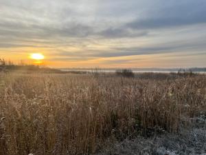 Náttúran í nágrenni íbúðarinnar