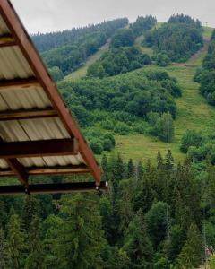 a view of a lush green hillside with trees at Hillside in Slavske