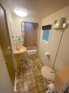 a small bathroom with a toilet and a sink at Kestral Pet Friendly Caravan in Alford