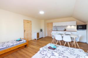 Kuchyň nebo kuchyňský kout v ubytování Apartmány Petra