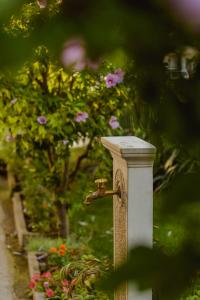 una fuente de agua en un jardín con flores en Hotel Carmen, en Eforie Nord